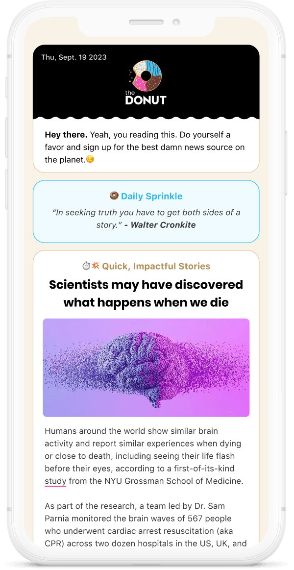 iPhone mockup of the daily DONUT newsletter
